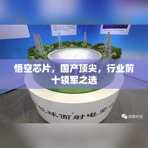 悟空芯片，國產(chǎn)頂尖，行業(yè)前十領(lǐng)軍之選