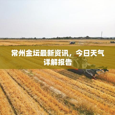 常州金壇最新資訊，今日天氣詳解報告