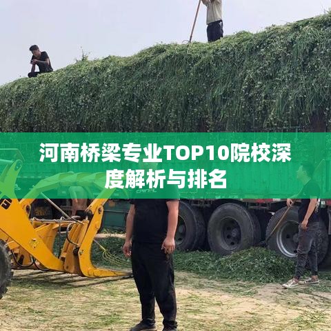 河南橋梁專業(yè)TOP10院校深度解析與排名