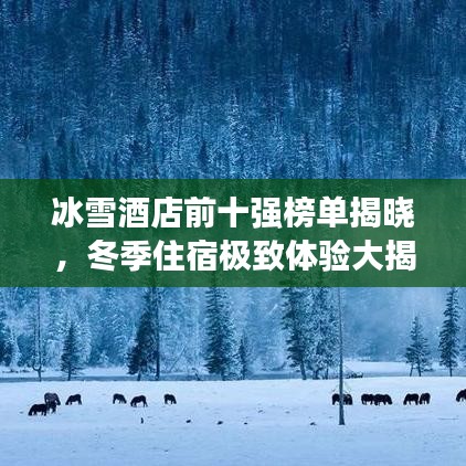 冰雪酒店前十強榜單揭曉，冬季住宿極致體驗大揭秘