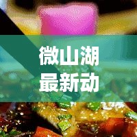 微山湖最新動(dòng)態(tài)揭秘，官方權(quán)威發(fā)布，掌握最新消息！