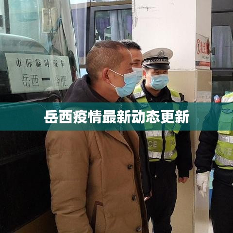 岳西疫情最新動態(tài)更新
