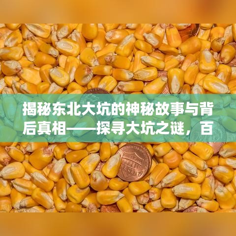 揭秘東北大坑的神秘故事與背后真相——探尋大坑之謎，百度帶你探秘！