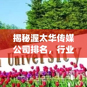 揭秘渥太華傳媒公司排名，行業(yè)領(lǐng)軍者的成功秘訣