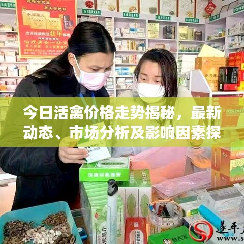 今日活禽價格走勢揭秘，最新動態(tài)、市場分析及影響因素探討