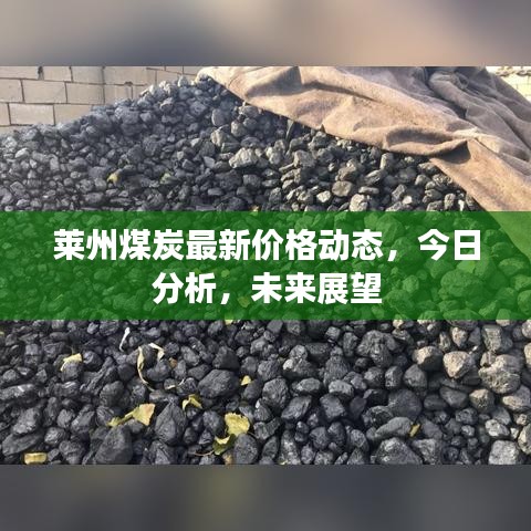 萊州煤炭最新價格動態(tài)，今日分析，未來展望