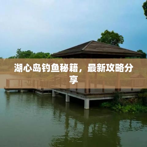 湖心島釣魚秘籍，最新攻略分享