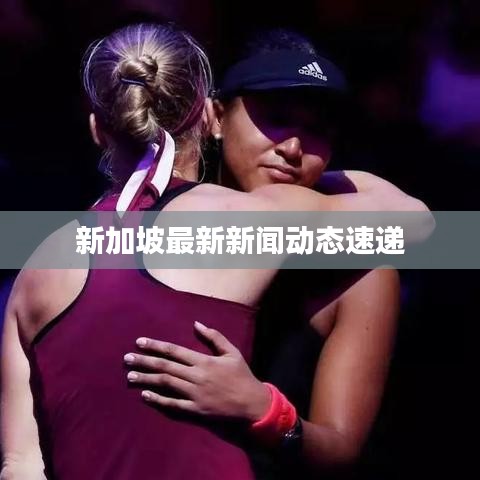 新加坡最新新聞動(dòng)態(tài)速遞