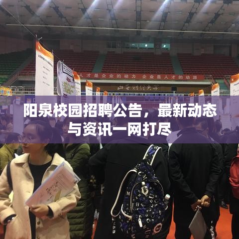 陽(yáng)泉校園招聘公告，最新動(dòng)態(tài)與資訊一網(wǎng)打盡