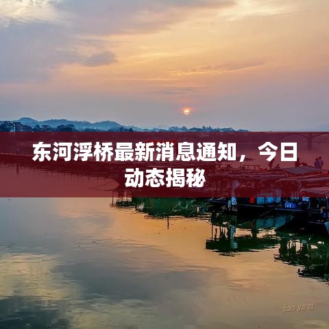 東河浮橋最新消息通知，今日動態(tài)揭秘