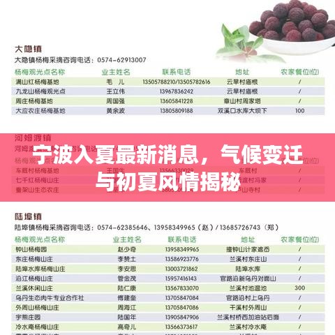 寧波入夏最新消息，氣候變遷與初夏風(fēng)情揭秘