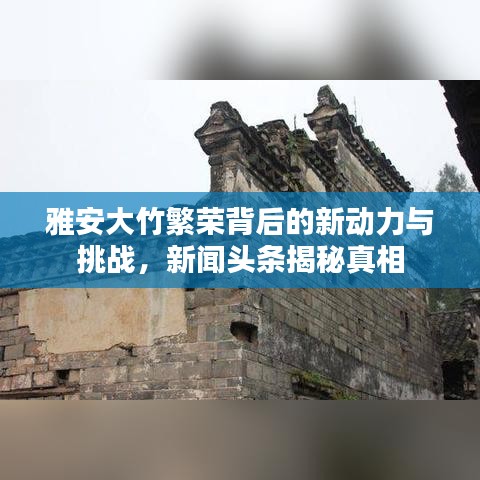 雅安大竹繁榮背后的新動(dòng)力與挑戰(zhàn)，新聞?lì)^條揭秘真相