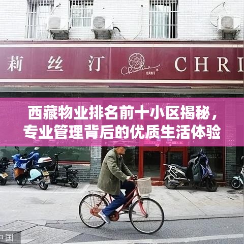 西藏物業(yè)排名前十小區(qū)揭秘，專業(yè)管理背后的優(yōu)質(zhì)生活體驗(yàn)