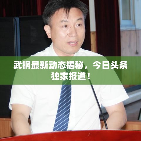 武鋼最新動(dòng)態(tài)揭秘，今日頭條獨(dú)家報(bào)道！