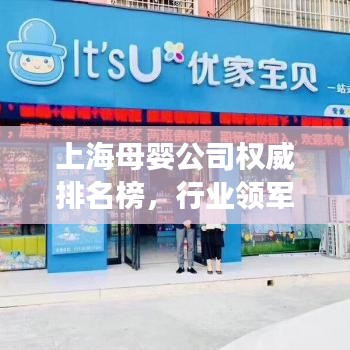 上海母嬰公司權(quán)威排名榜，行業(yè)領(lǐng)軍者解讀！