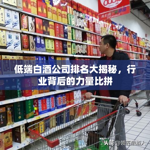 低端白酒公司排名大揭秘，行業(yè)背后的力量比拼