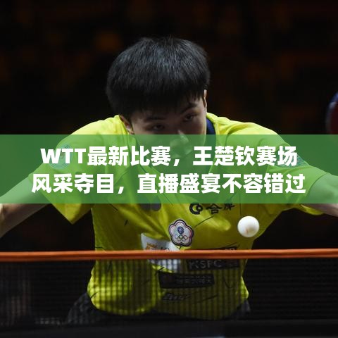 WTT最新比賽，王楚欽賽場(chǎng)風(fēng)采奪目，直播盛宴不容錯(cuò)過
