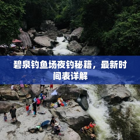 碧泉釣魚場夜釣秘籍，最新時間表詳解