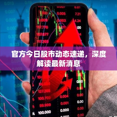 官方今日股市動態(tài)速遞，深度解讀最新消息