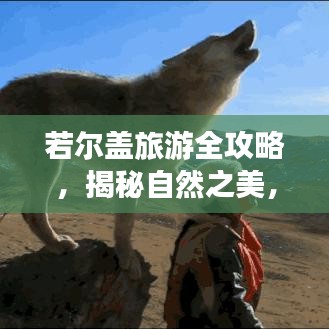 若爾蓋旅游全攻略，揭秘自然之美，暢游絕美路線！