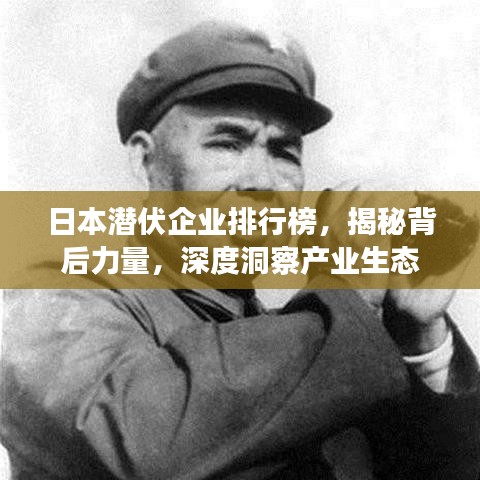 日本潛伏企業(yè)排行榜，揭秘背后力量，深度洞察產(chǎn)業(yè)生態(tài)