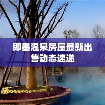 即墨溫泉房屋最新出售動態(tài)速遞