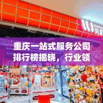 重慶一站式服務公司排行榜揭曉，行業(yè)領軍者的成功秘訣解讀