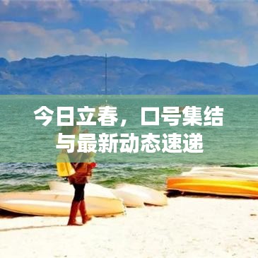 今日立春，口號集結(jié)與最新動態(tài)速遞