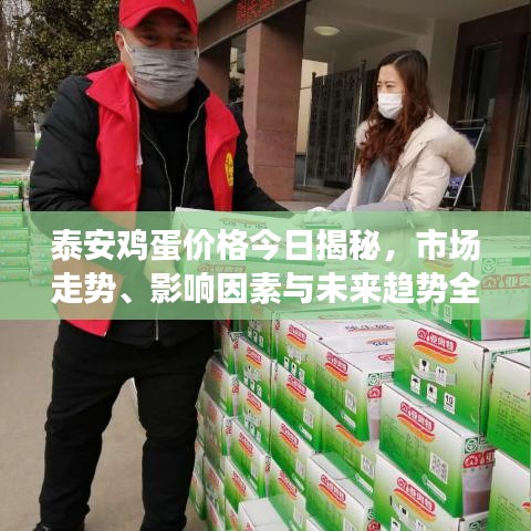 泰安雞蛋價(jià)格今日揭秘，市場(chǎng)走勢(shì)、影響因素與未來(lái)趨勢(shì)全面解析
