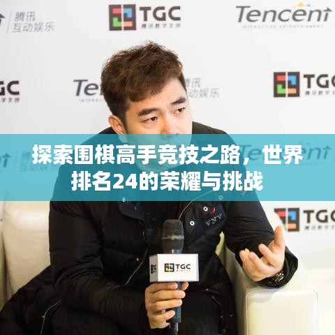 探索圍棋高手競(jìng)技之路，世界排名24的榮耀與挑戰(zhàn)