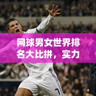 網(wǎng)球男女世界排名大比拼，實(shí)力比拼的舞臺(tái)
