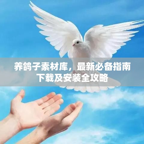 養(yǎng)鴿子素材庫，最新必備指南下載及安裝全攻略