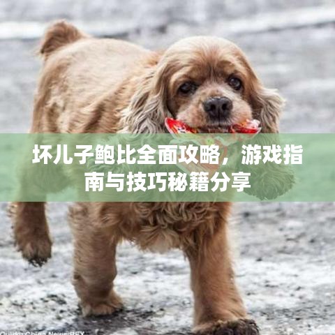 壞兒子鮑比全面攻略，游戲指南與技巧秘籍分享