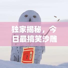 獨家揭秘，今日最搞笑沙雕圖片，讓你笑到肚子疼！