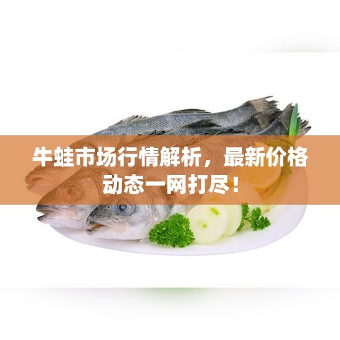牛蛙市場行情解析，最新價(jià)格動(dòng)態(tài)一網(wǎng)打盡！