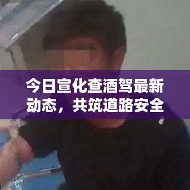 今日宣化查酒駕最新動態(tài)，共筑道路安全防線，你我共同責任守護