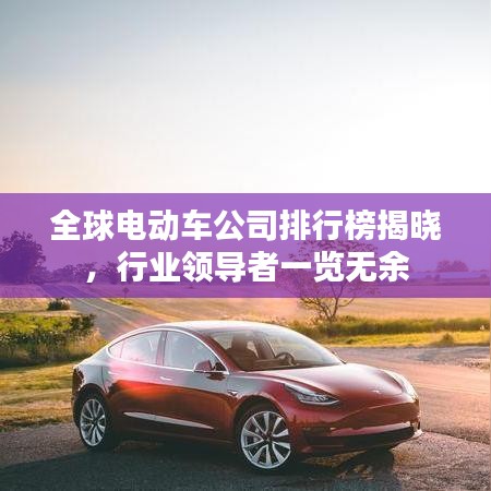全球電動車公司排行榜揭曉，行業(yè)領(lǐng)導(dǎo)者一覽無余