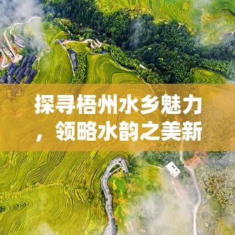 探尋梧州水鄉(xiāng)魅力，領(lǐng)略水韻之美新聞頭條