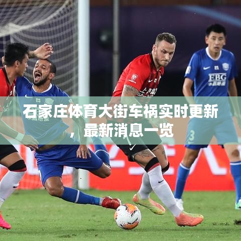 石家莊體育大街車禍實(shí)時(shí)更新，最新消息一覽