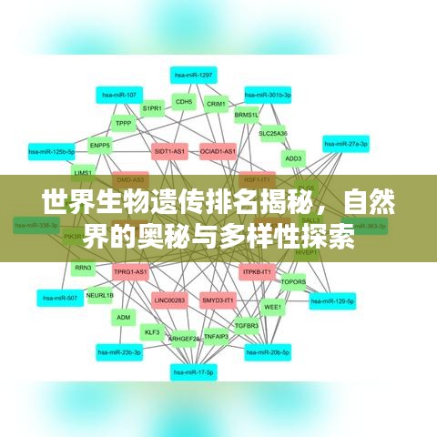 世界生物遺傳排名揭秘，自然界的奧秘與多樣性探索