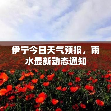 伊寧今日天氣預(yù)報(bào)，雨水最新動(dòng)態(tài)通知