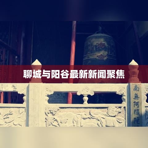 聊城與陽谷最新新聞聚焦