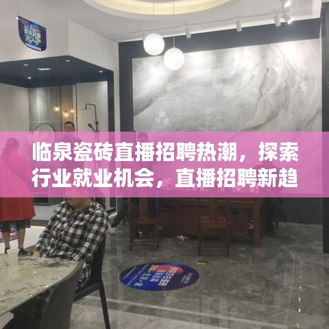 臨泉瓷磚直播招聘熱潮，探索行業(yè)就業(yè)機(jī)會(huì)，直播招聘新趨勢(shì)揭秘！