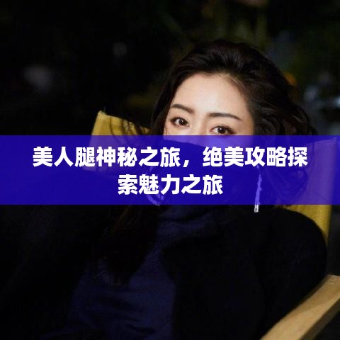 美人腿神秘之旅，絕美攻略探索魅力之旅