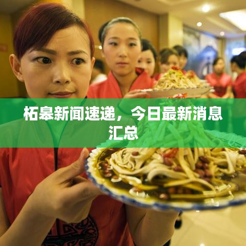 柘皋新聞速遞，今日最新消息匯總