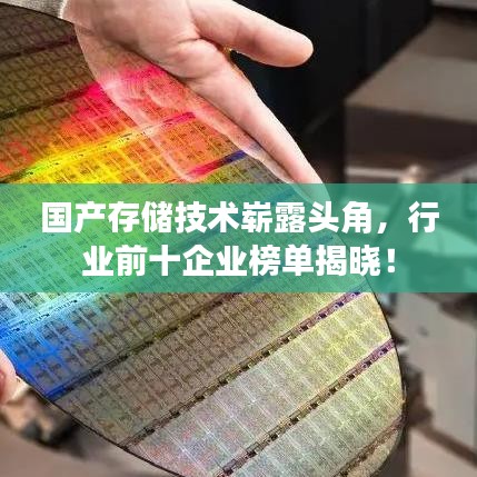 國(guó)產(chǎn)存儲(chǔ)技術(shù)嶄露頭角，行業(yè)前十企業(yè)榜單揭曉！