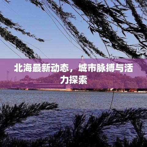 北海最新動態(tài)，城市脈搏與活力探索