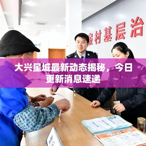 大興星城最新動態(tài)揭秘，今日更新消息速遞