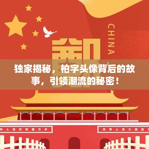 獨(dú)家揭秘，柏字頭像背后的故事，引領(lǐng)潮流的秘密！