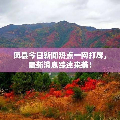鳳縣今日新聞熱點一網(wǎng)打盡，最新消息綜述來襲！
